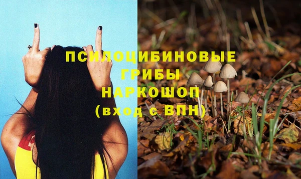 каннабис Каменск-Шахтинский