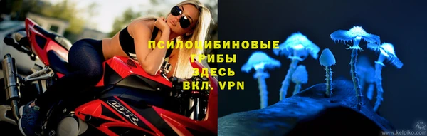 ECSTASY Каменногорск