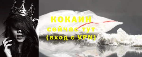 метадон Каменка