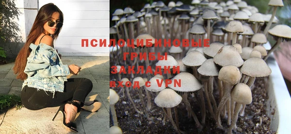 метадон Каменка