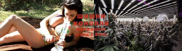 ECSTASY Каменногорск