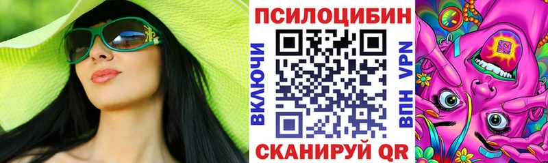 Псилоцибиновые грибы Cubensis  Купить где  Дальнегорск 